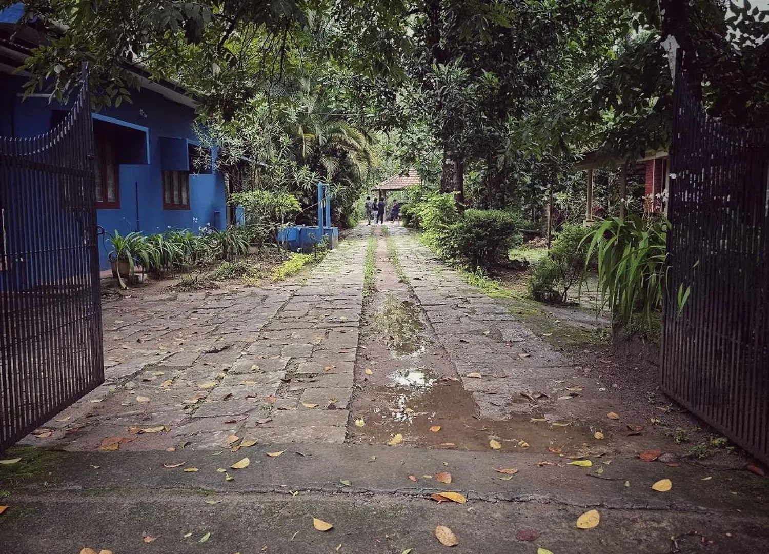 Mulberry Brook Apartment Wayanad