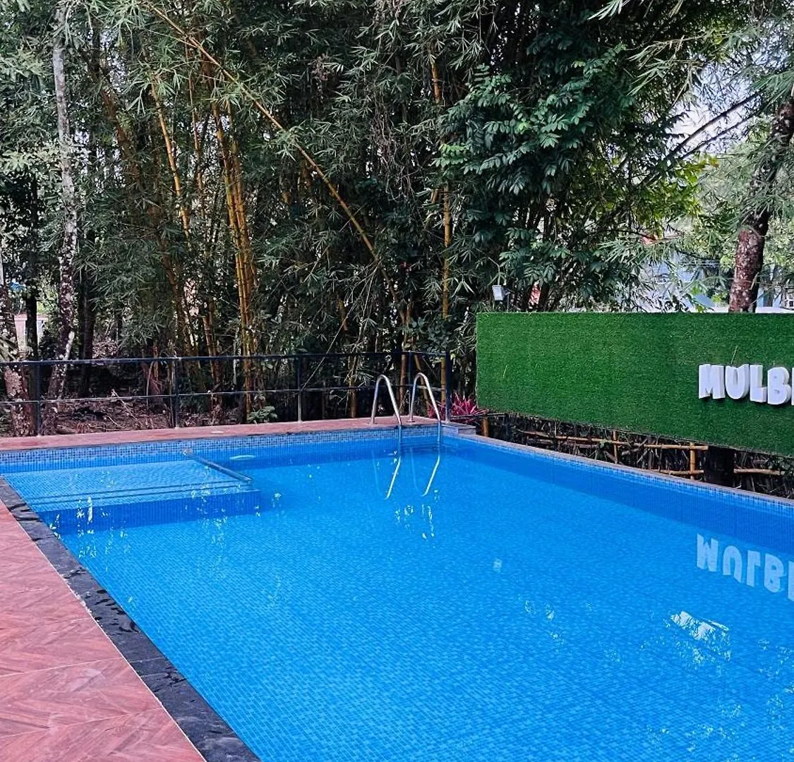 Mulberry Brook Apartment Wayanad
