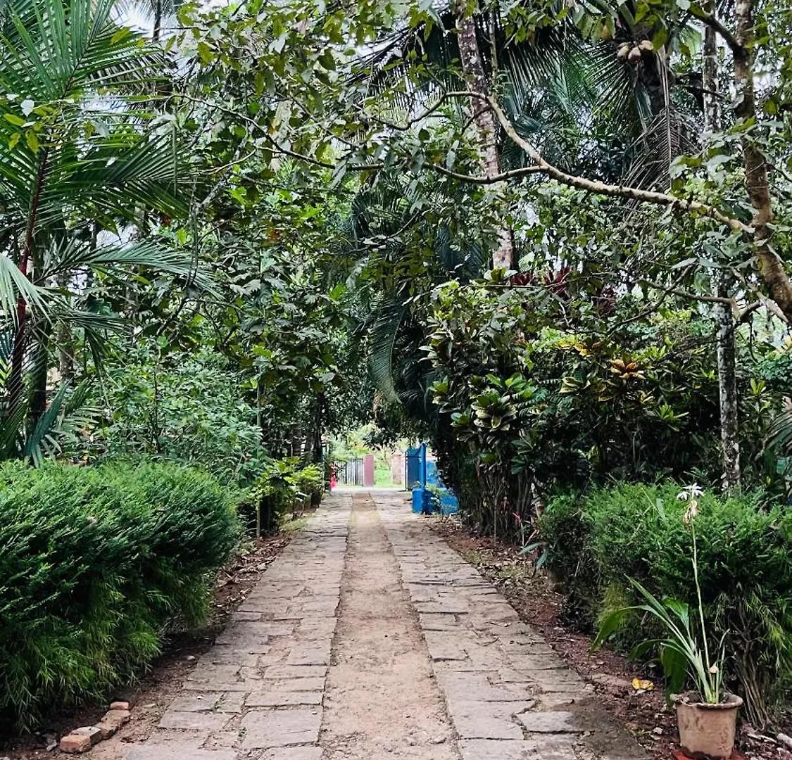 Mulberry Brook Apartment Wayanad Homestay
