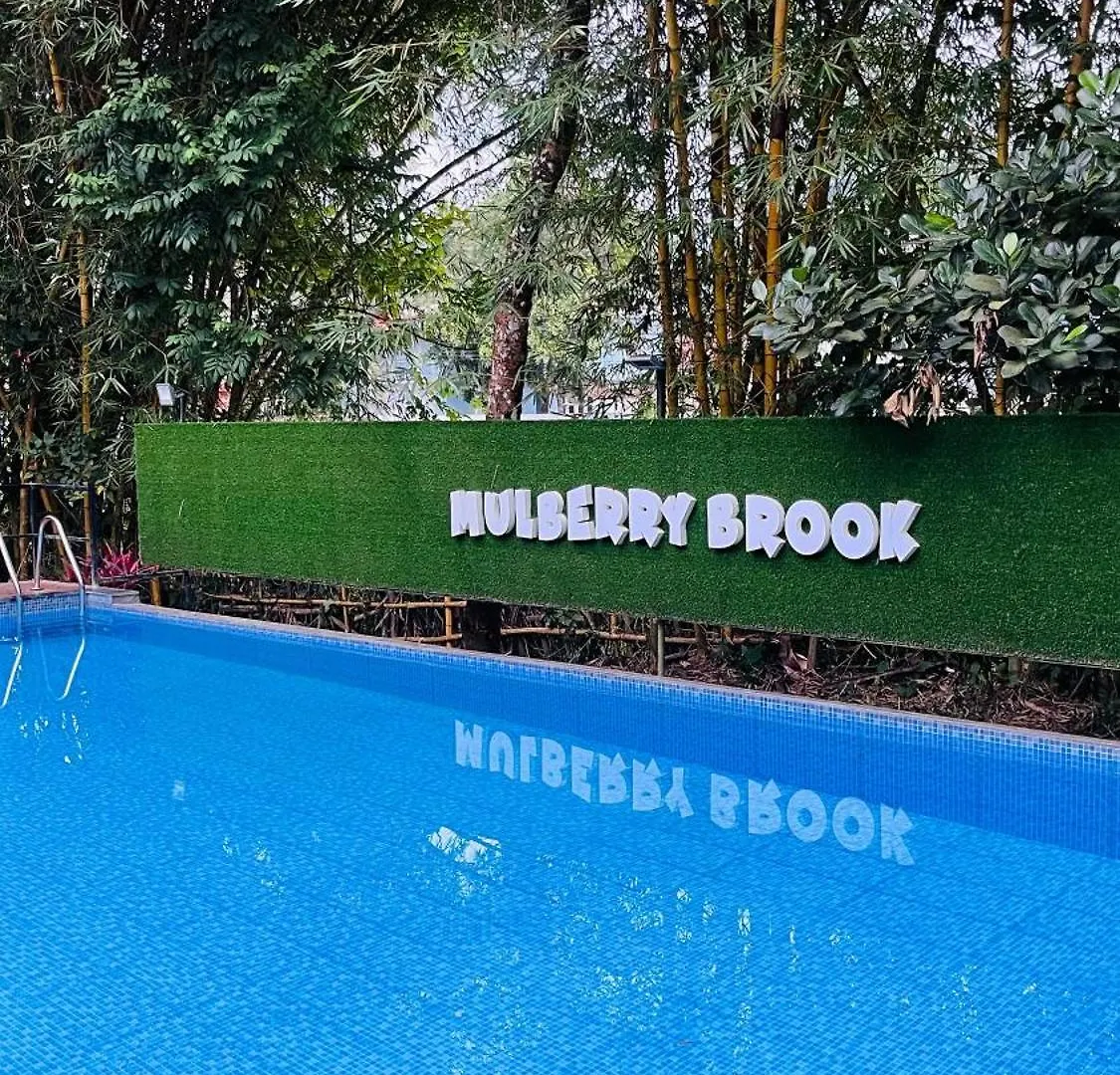 Mulberry Brook Apartment Wayanad India